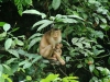 Malaysia Sights