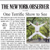 New York Observer
